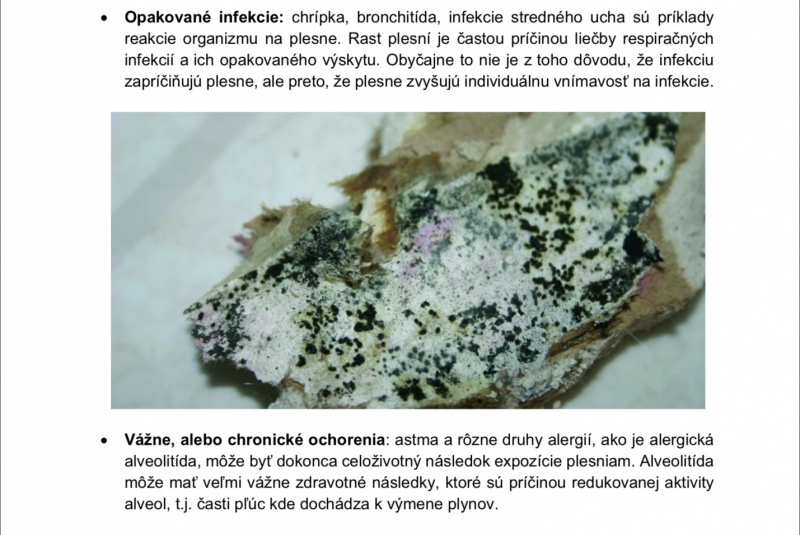 Čistenie fasády strana 2